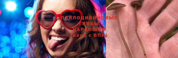 спиды Алексеевка