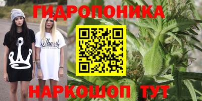 дживик Малоярославец