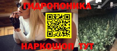 сатива Абакан