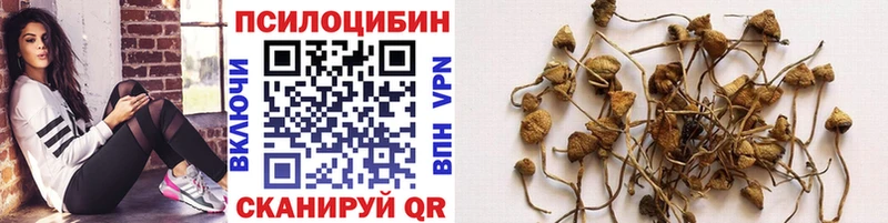 Галлюциногенные грибы мухоморы  Подольск 