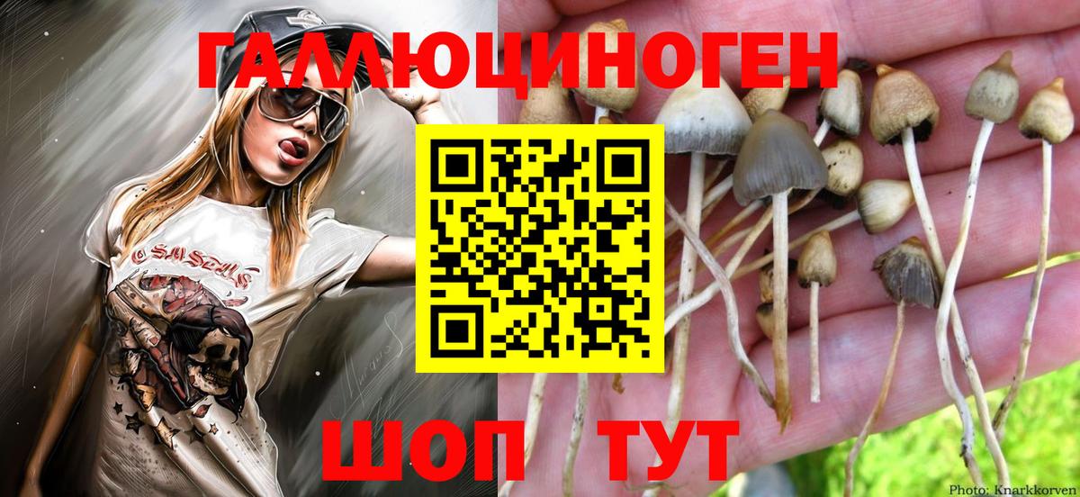 Подольск  Галлюциногенные грибы Magic Shrooms  Галлюциногенные грибы Psilocybe  Вход с VPN 