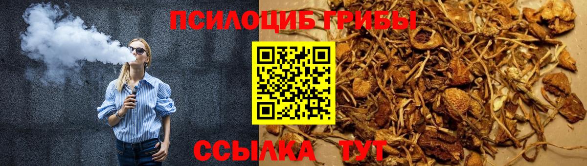 Галлюциногенные грибы мухоморы Подольск