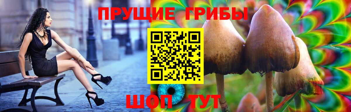 Псилоцибиновые грибы GOLDEN TEACHER Подольск